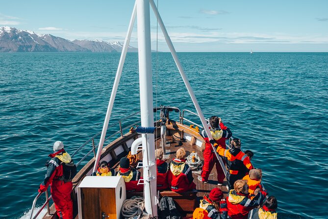 Húsavík Whale Watching Tour, family owned and operated - Boarding Moby Dick for the bay
