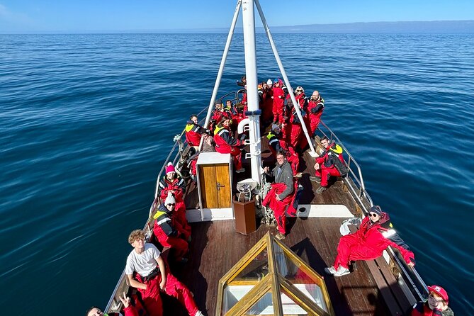 Húsavík Whale Watching Tour, family owned and operated - What three hours on open water really feels like