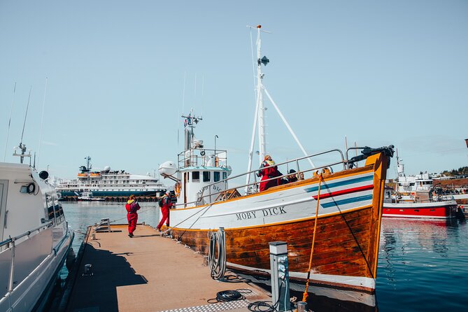 Húsavík Whale Watching Tour, family owned and operated - The route toward Kinnarfjöll and Syðri Háganga
