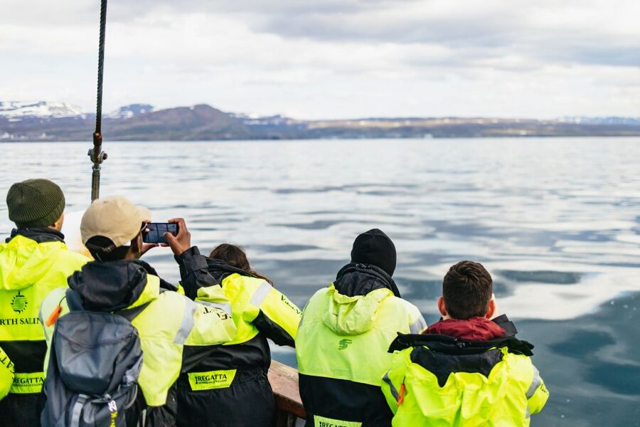 Húsavík: Whale Watching Tour with Guide - What you may see in the bay