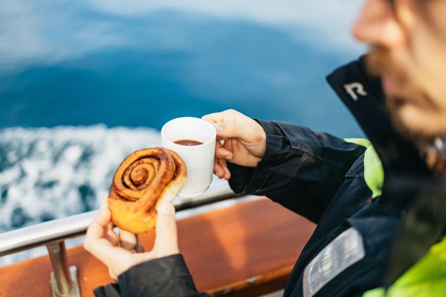 Húsavík: Whale Watching Tour with Guide - How the guides shape the experience