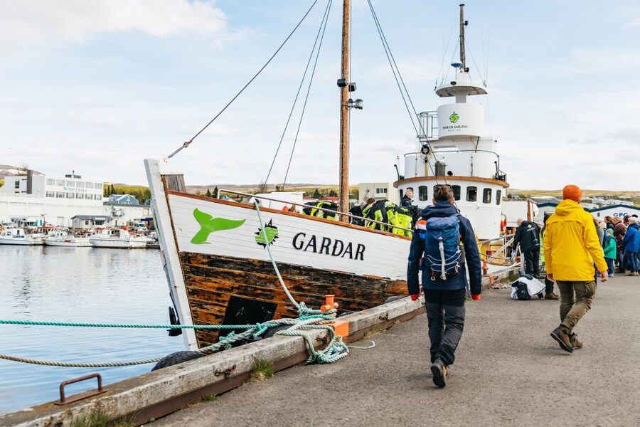 Húsavík: Whale Watching Tour with Guide - Is $115 a fair price?