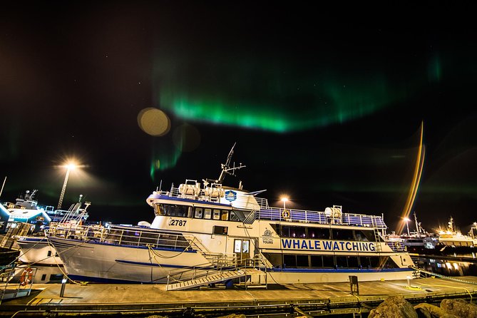 Iceland Super Saver: Northern Lights Cruise plus Whale-Watching Tour from Reykjavik - Guides, equipment, and the small comforts