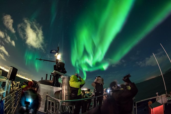 Iceland Super Saver: Northern Lights Cruise plus Whale-Watching Tour from Reykjavik - Who will enjoy this package most?