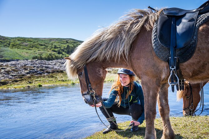 Icelandic Horse Riding and Whale Watching Tour from Reykjavik - Two Icelandic classics in one half-day