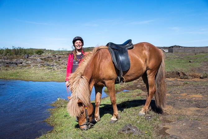 Icelandic Horse Riding and Whale Watching Tour from Reykjavik - Who will get the most from this tour