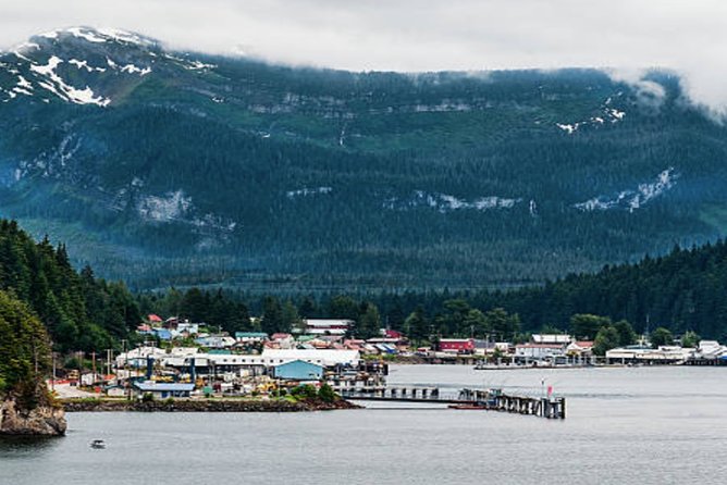Icy Strait Shore Excursion: Whale Watching Adventure Tour - Timing, cruise safety, and cancellation terms