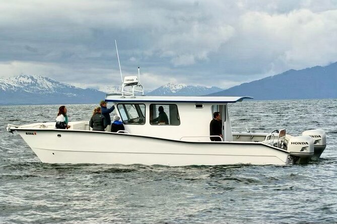 Icy Strait Whale & Wildlife Endeavor - What you may see on the water