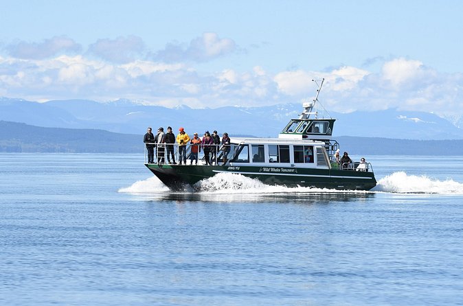 Intimate West Coast Whale Watching - Partly-Sheltered - Who should choose this outing?