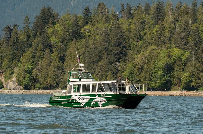 Intimate West Coast Whale Watching - Partly-Sheltered - Practical planning before you board