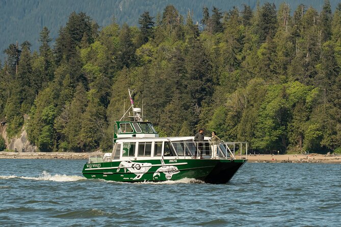 Intimate West Coast Whale Watching - Partly-Sheltered - A partly sheltered boat with a smaller group