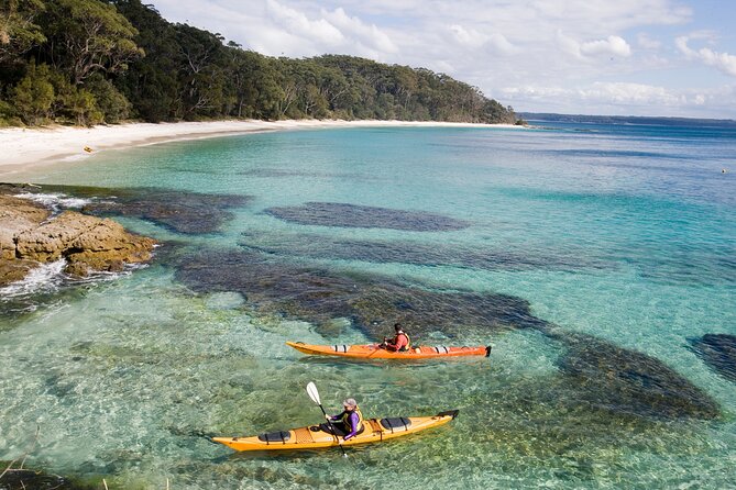 Jervis Bay Whale Watching Tour - The real issue: sea conditions