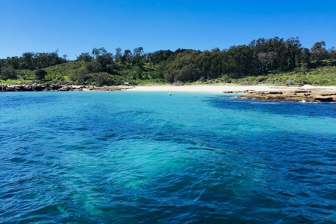 Jervis Bay Whale Watching Tour - Photography is harder than it looks