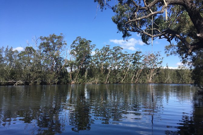 Jervis Bay Whale Watching Tour - Is €40.95 good value for two hours?