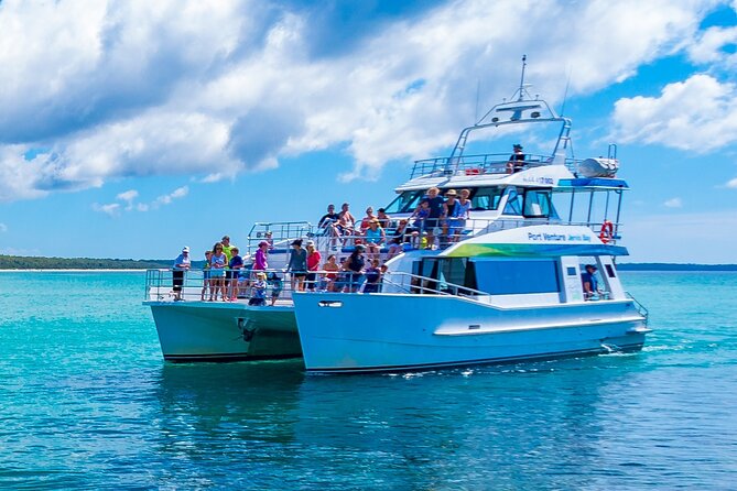 Jervis Bay Whale Watching Tour - Whale season and what you might see