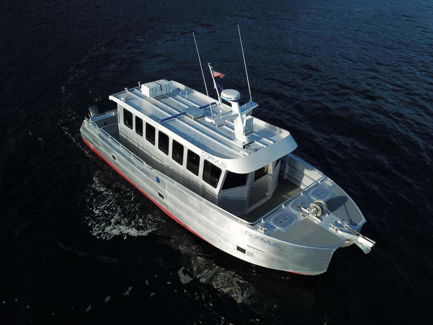 Juneau: 3.5-Hour Small Group Whale Watching Tour - The 25-minute bus ride through Juneau