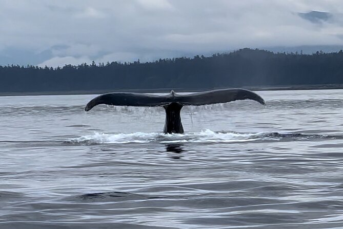 Juneau Jetski & Whale Adventure - From Auke Bay to Juneau’s Open Water