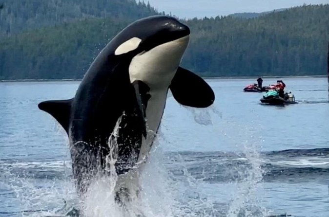 Juneau Jetski & Whale Adventure - Admiralty Island and the Farther Reach of the Trip