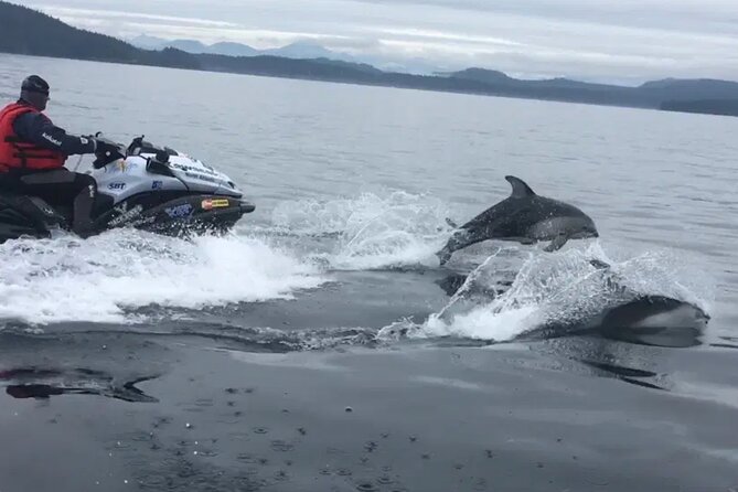 Juneau Jetski & Whale Adventure - Who Will Enjoy This Best