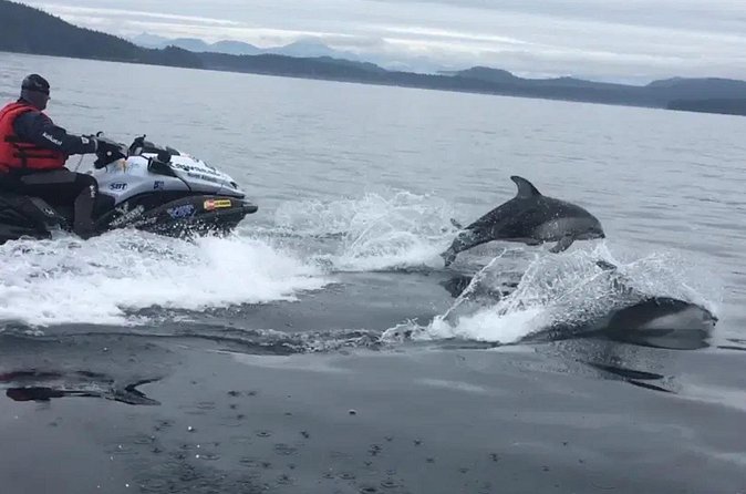 Juneau Jetski & Whale Adventure - Booking Timing and Cancellation Flexibility