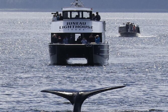 Juneau Lighthouse Tours - Whale watching & Lighthouse Combo - Why this Juneau tour feels different
