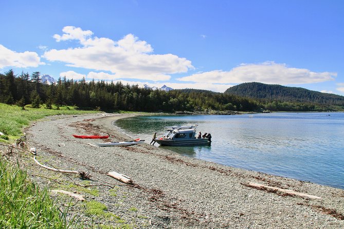 Juneau Shore Excursion: Paddle with Whales Kayak Adventure - Clothing, fitness, and kayak limits
