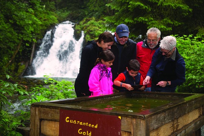 Juneau Whale Watching and Salmon Bake - How much value do you get for $239?