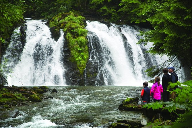 Juneau Whale Watching and Salmon Bake - Should you book it?