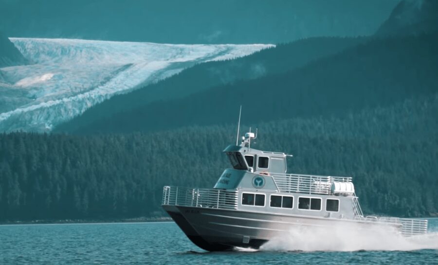 Juneau: Whale Watching and Wildlife Cruise with Local Guide - What the whale sightings can look like
