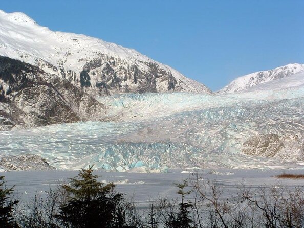 Juneau Wildlife Whale Watching & Mendenhall Glacier - Who should book this Juneau excursion?