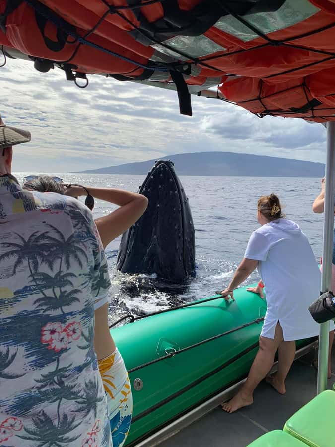 Ka'anapali: Whale Watching Boat Tour - Setting out from Kaanapali Beach