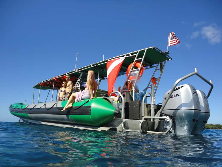Ka'anapali: Whale Watching Boat Tour - Two hours with Maui’s humpback whales