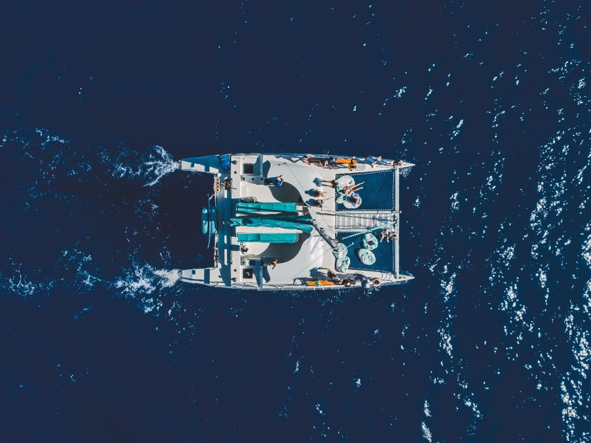 Kaanapali: Whale Watching Cruise with Open Bar - Key points to know before booking