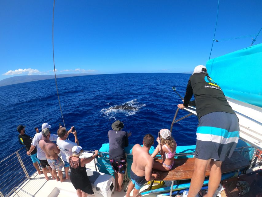 Kaanapali: Whale Watching Cruise with Open Bar - The Sea Maui catamaran experience