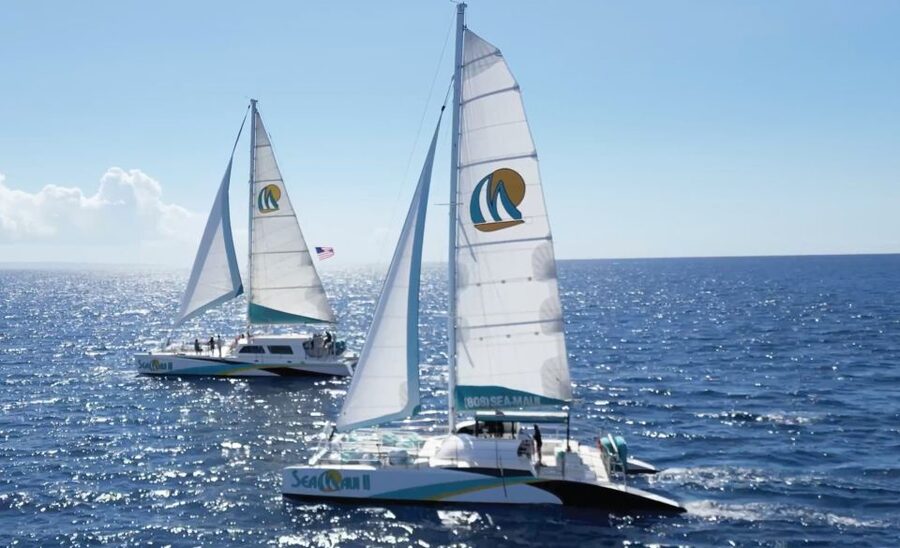 Kaanapali: Whale Watching Cruise with Open Bar - Naturalist guides who keep the cruise lively