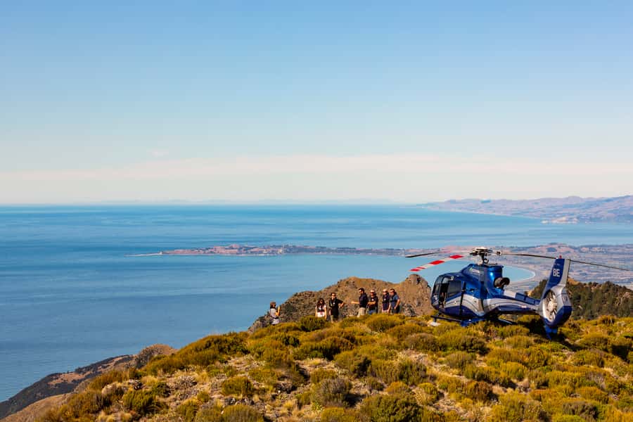 Kaikoura: 1-Hour Whale Watching Helicopter Tour - Is $792 worth it?