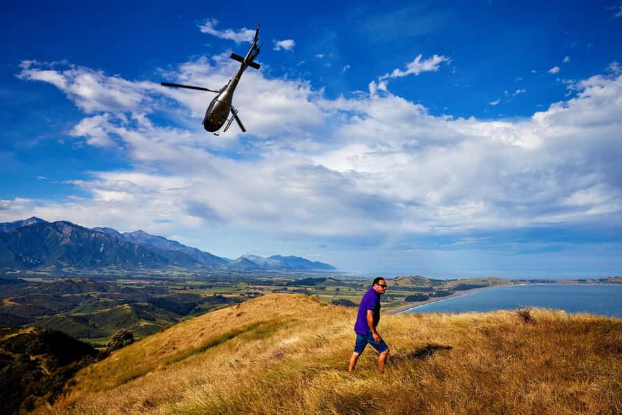 Kaikōura: 45-Minute Whale Watching Helicopter Tour - Is $493 a fair price?