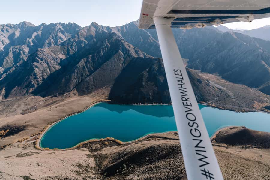 Kaikoura: Extended Flight Whale Watching & Mountain Tour - The six-seat aircraft and window views