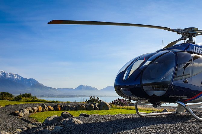 Kaikoura Helicopters Classic Whale Watch - What happens at the 16 West End helipad