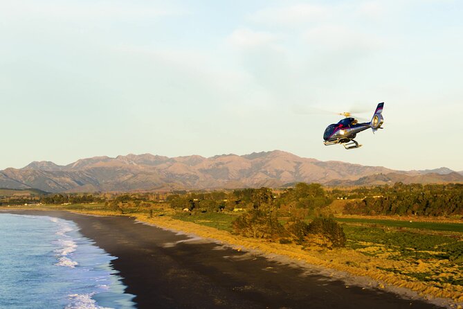 Kaikoura Helicopters Extended Whale Watch - What the small group size changes