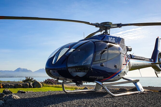 Kaikoura Helicopters Extended Whale Watch - Weather, cancellations, and planning your day