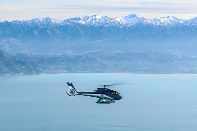 Kaikoura Helicopters Top n Tail Whale Watch flight - Why this Kaikōura flight feels different