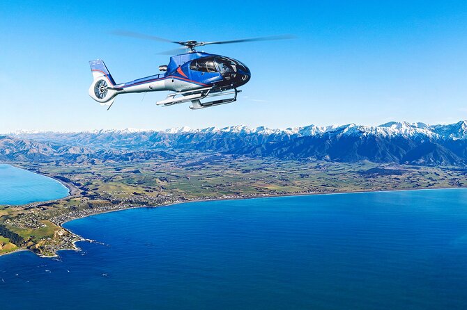 Kaikoura Helicopters Top n Tail Whale Watch flight - Is the Top ’n Tail flight worth booking?