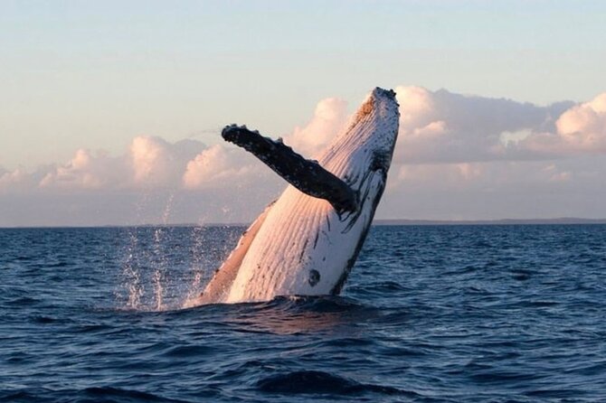 Kaikoura Private Whale Watching Day Trip from Christchurch - The North Canterbury drive is part of the experience