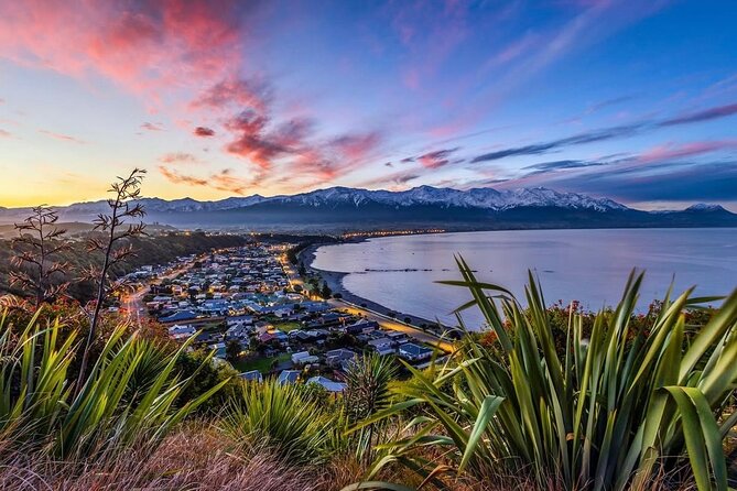 Kaikoura Private Whale Watching Day Trip from Christchurch - Seal viewing adds a reliable land-based highlight