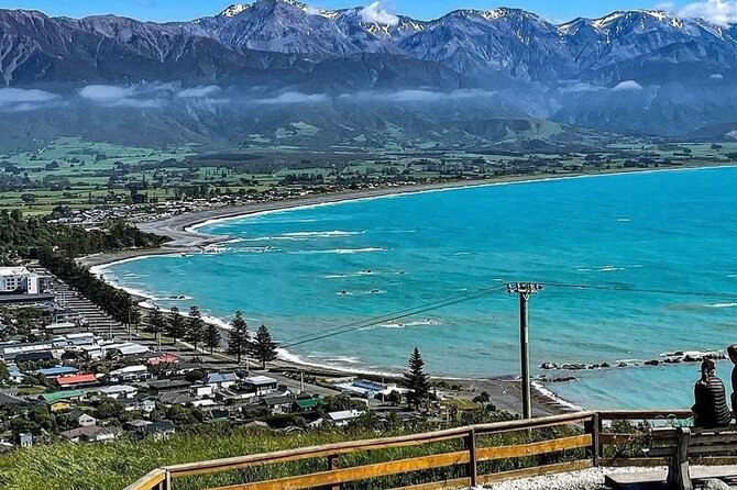 Kaikoura Private Whale Watching Day Trip from Christchurch - A private ride north from the Novotel at 7:30 am
