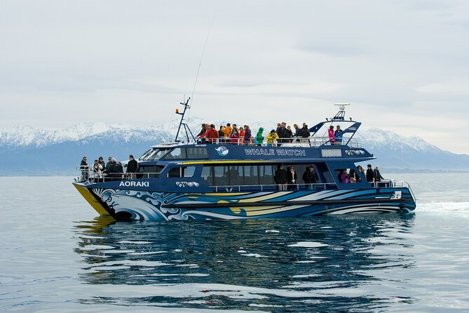 Kaikoura Whale and Dolphin Overnight Tour from Christchurch - Why Kaikoura works so well for a two-day wildlife trip