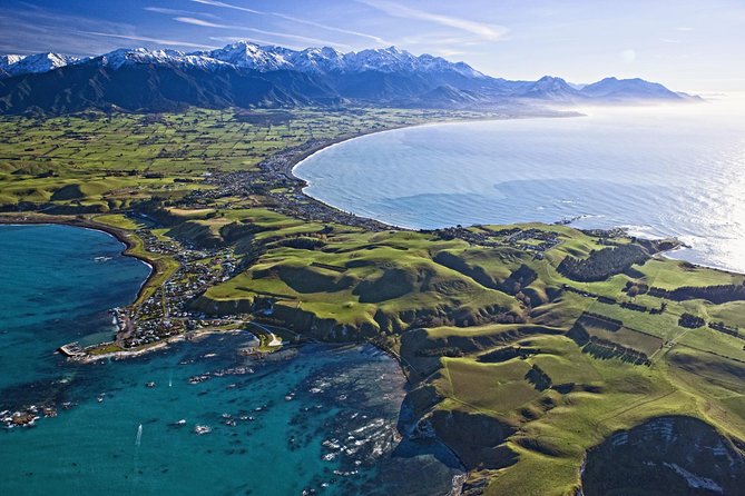 Kaikoura Whale Watch Day Tour from Christchurch - Key points to know before you book