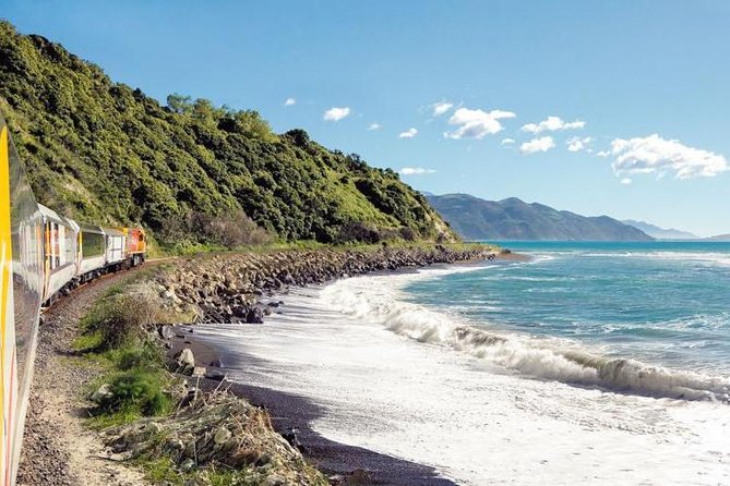 Kaikoura Whale Watch Day Tour from Christchurch including Coastal Pacific Train - What the whale cruise is like in practical terms