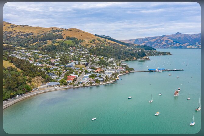 Kaikoura Whale Watch Day Tour from Christchurch including Coastal Pacific Train - The Waipara wine stop is a pleasant extra, not a promise